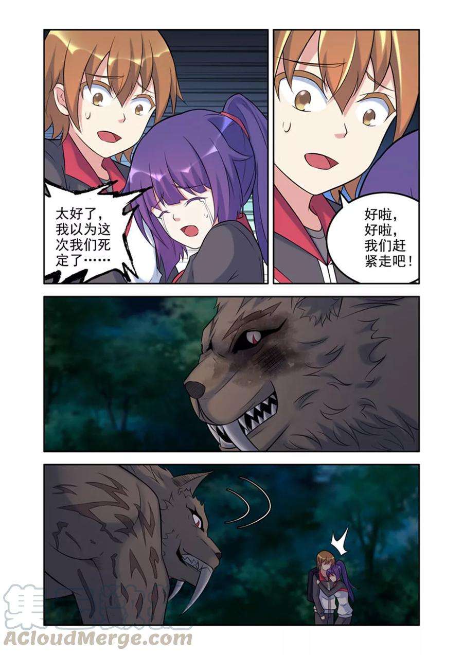 5.jpg