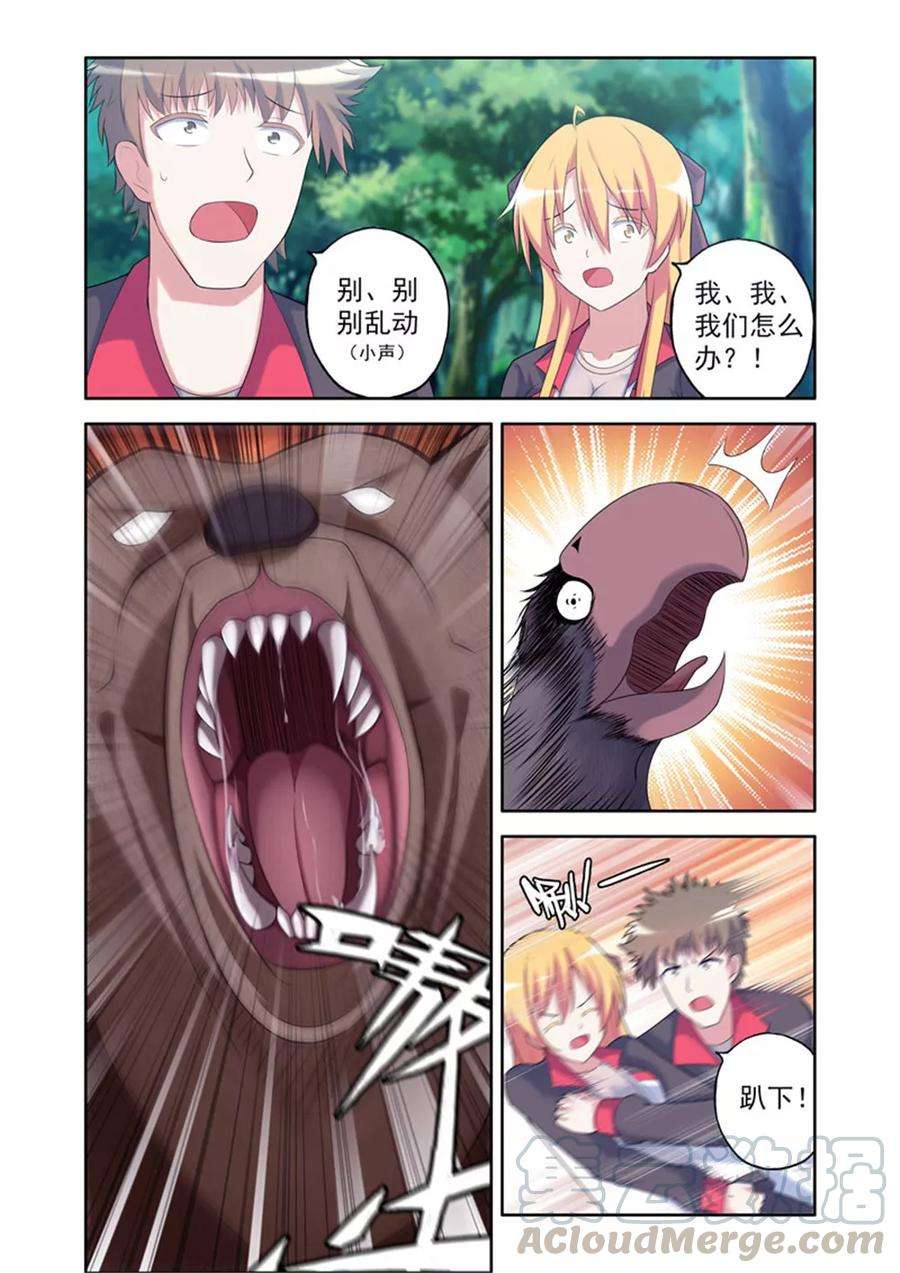 5.jpg
