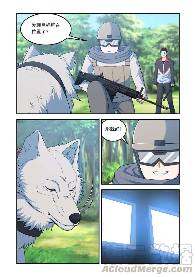5.jpg