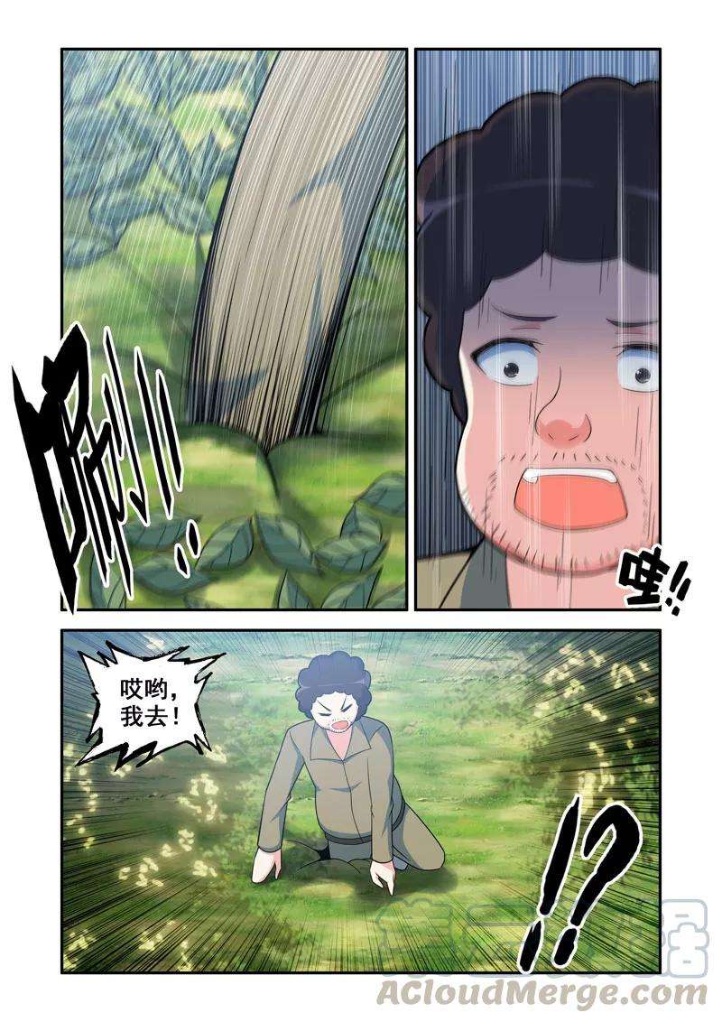 5.jpg