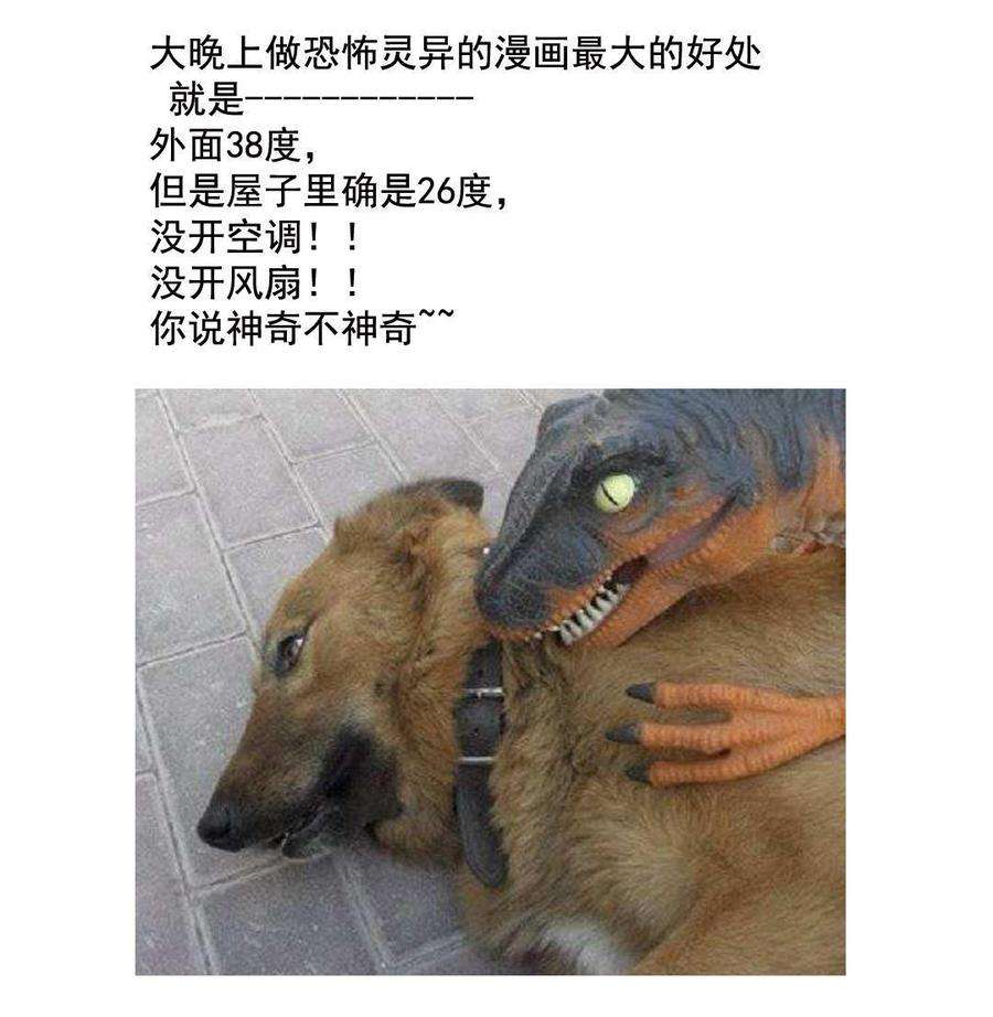 49.jpg