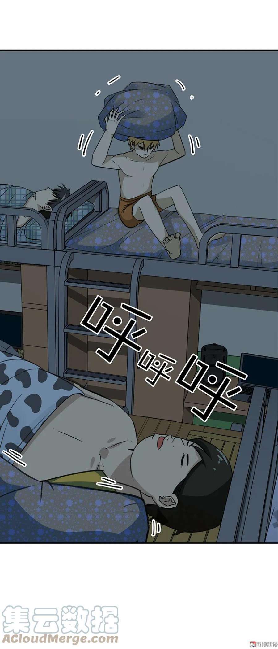 13.jpg