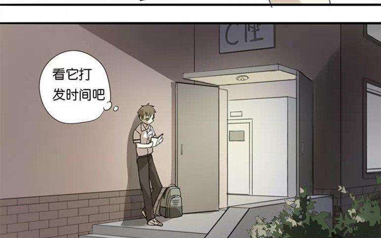 38.jpg