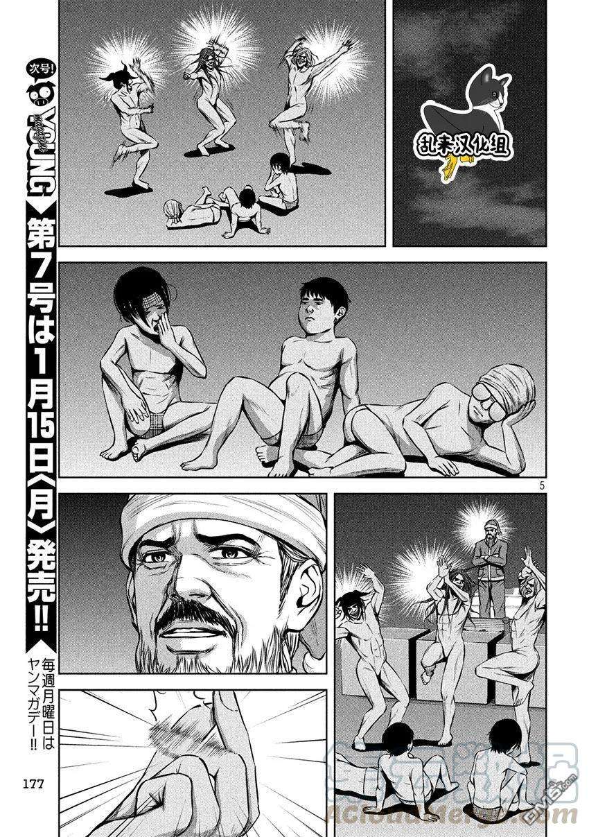 5.jpg
