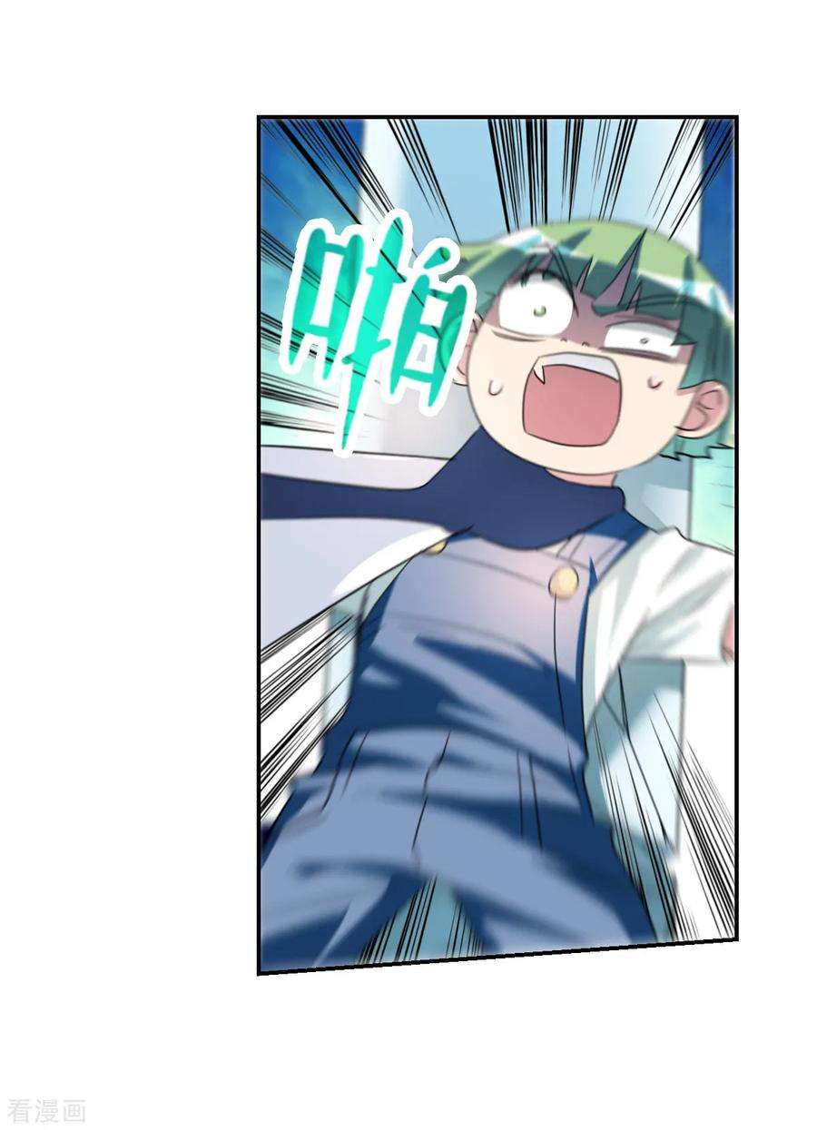 11.jpg