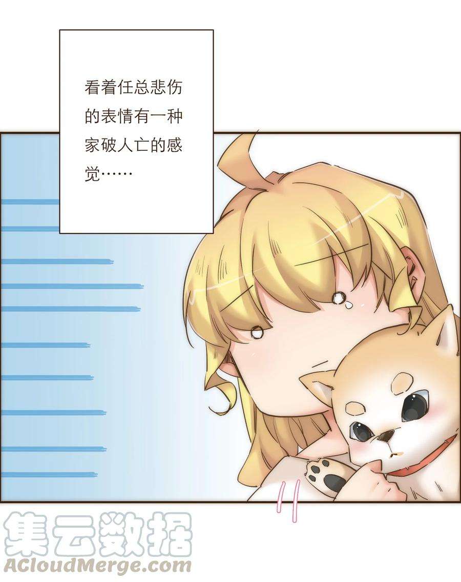 21.jpg