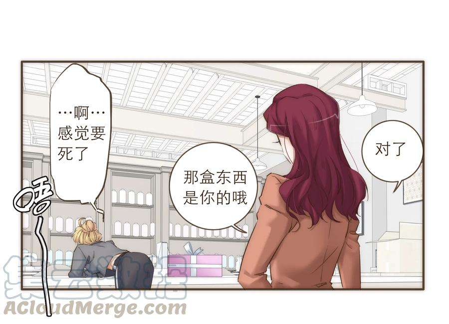 17.jpg
