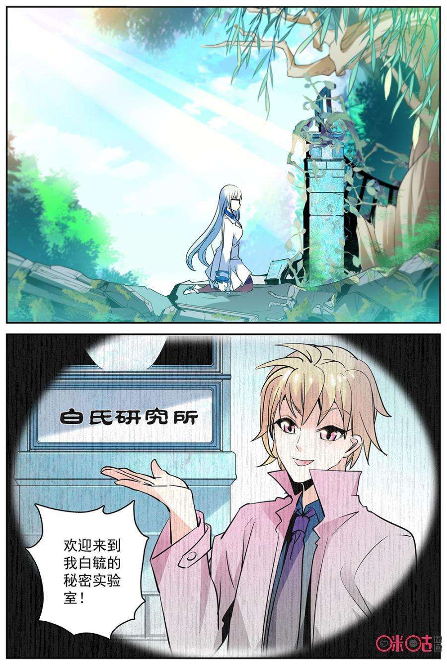17.jpg