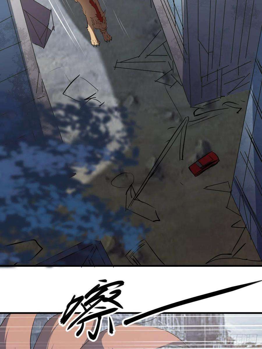 33.jpg