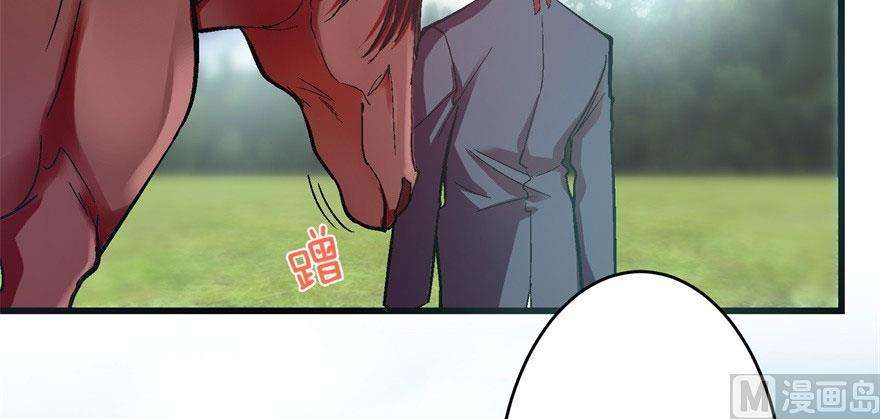 43.jpg