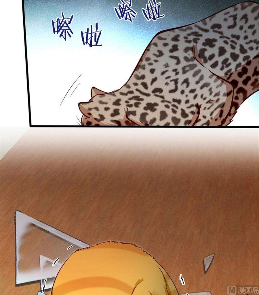 41.jpg