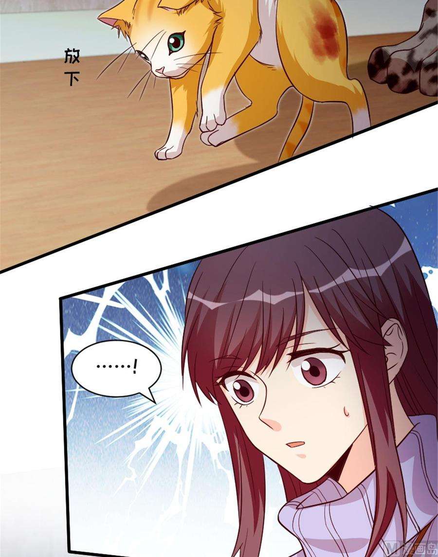 20.jpg