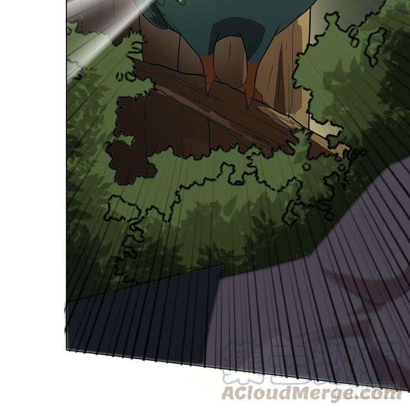 51.jpg