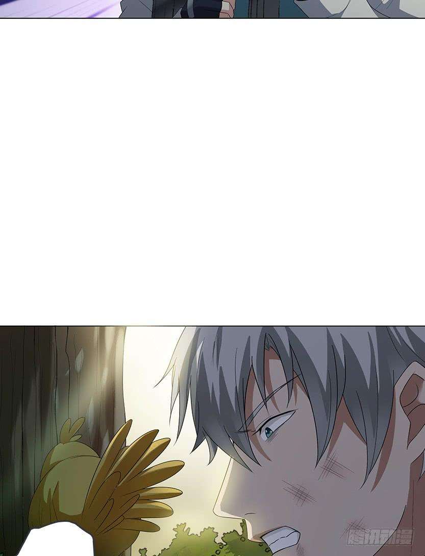 44.jpg
