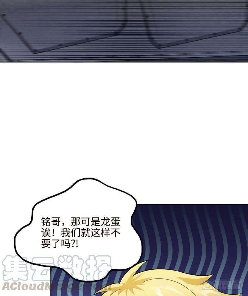 51.jpg