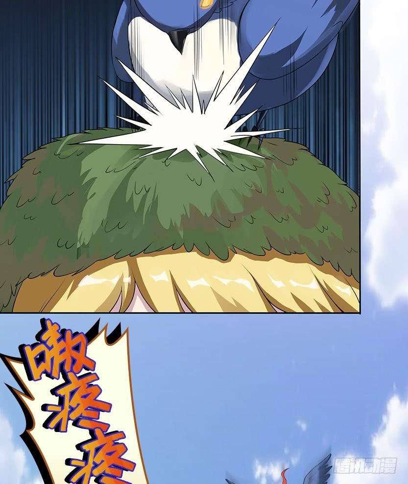 64.jpg