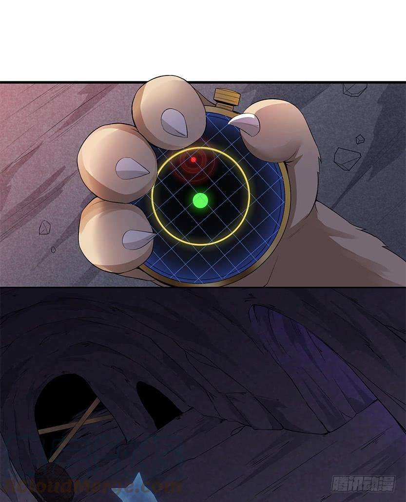 43.jpg