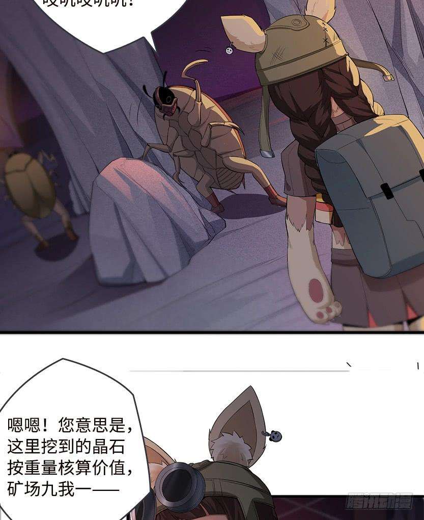 31.jpg