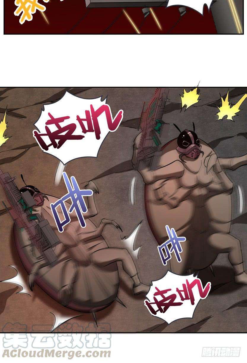 25.jpg
