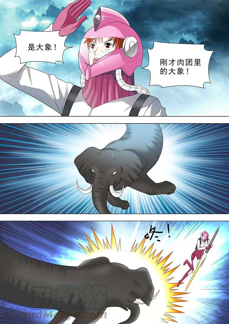 11.jpg