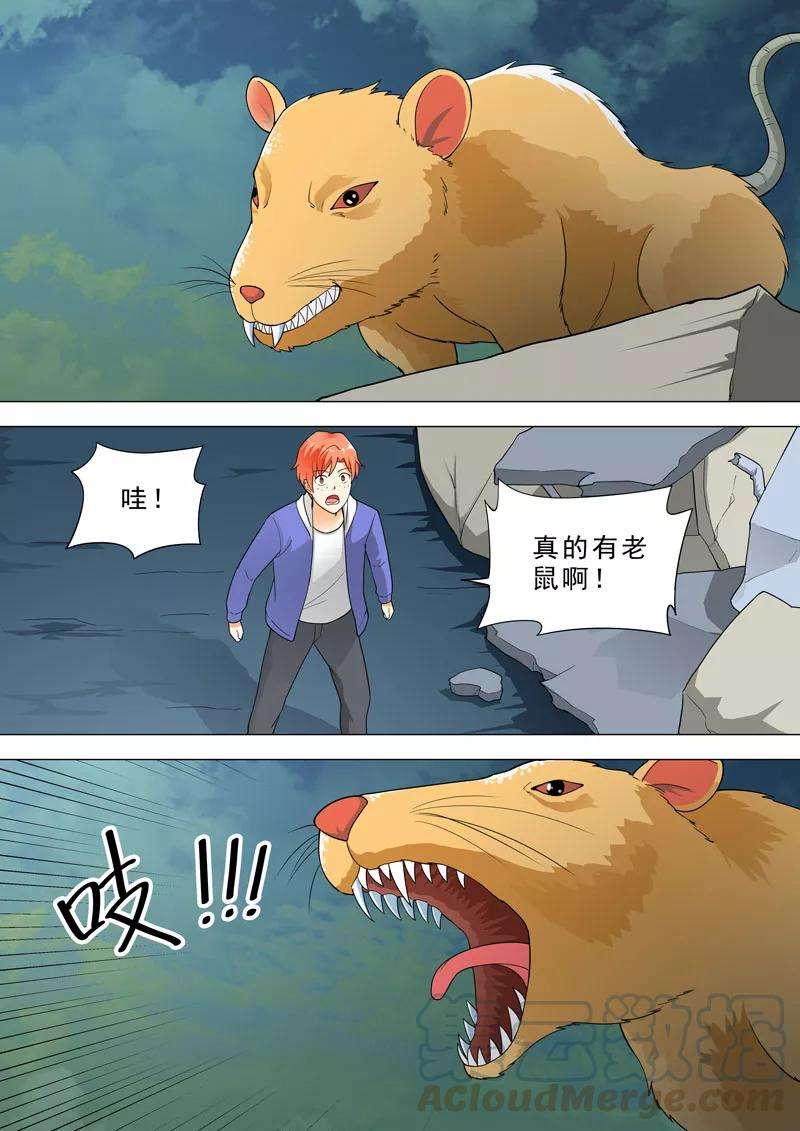 9.jpg
