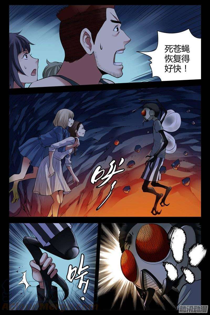 5.jpg