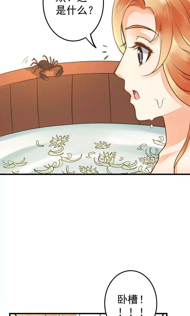 46.jpg
