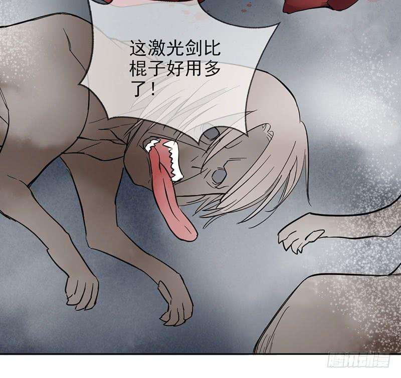 24.jpg