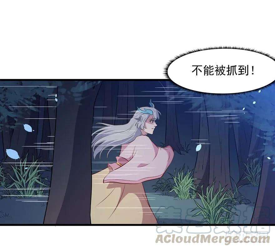 31.jpg