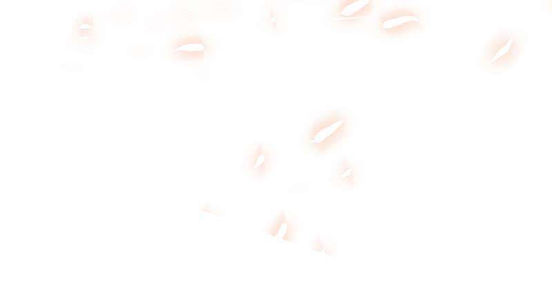114.jpg