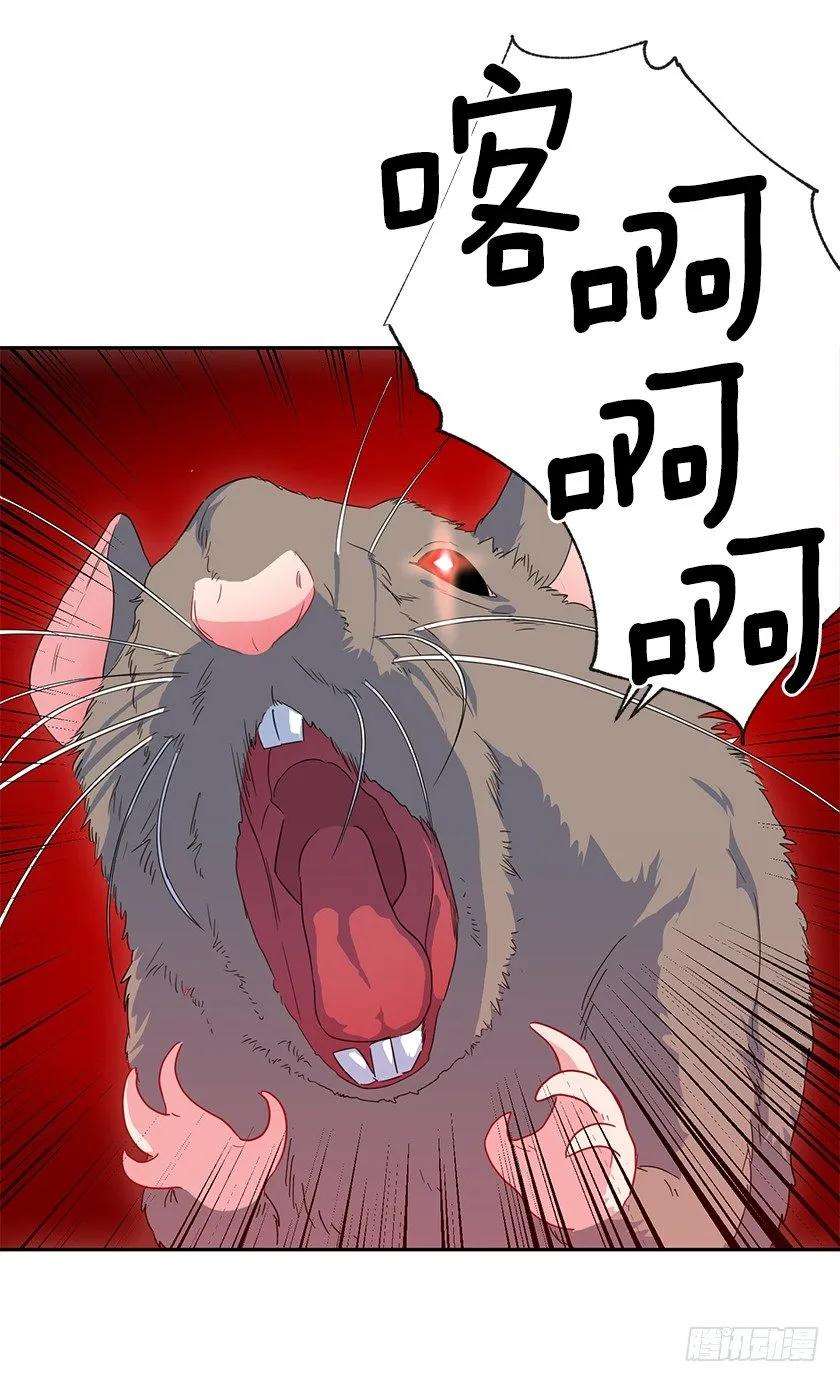 40.jpg