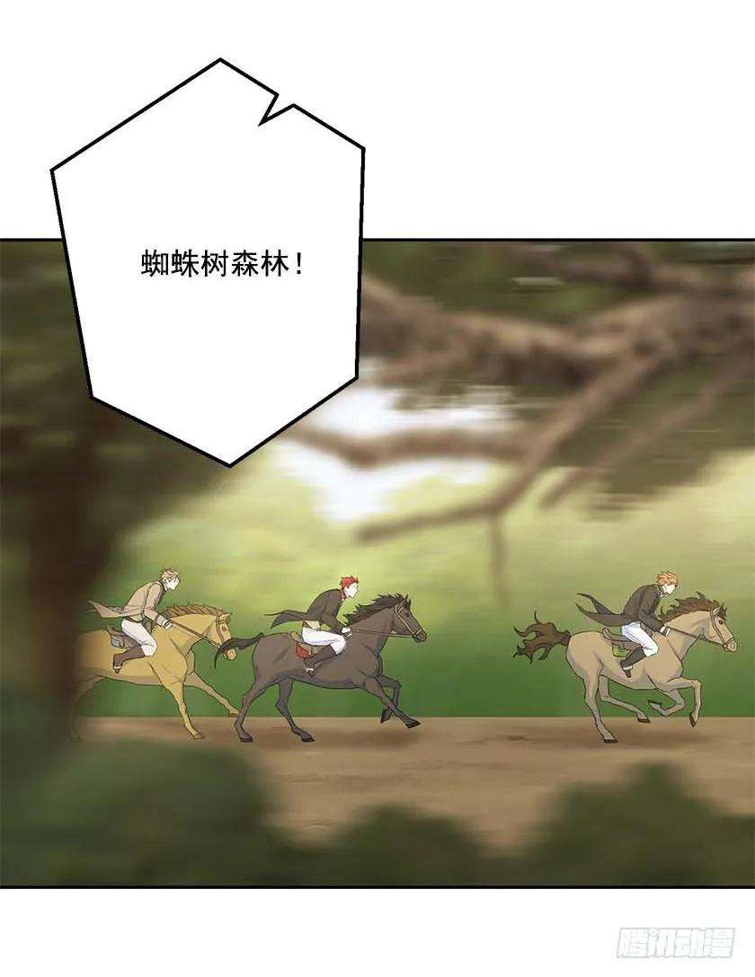 47.jpg