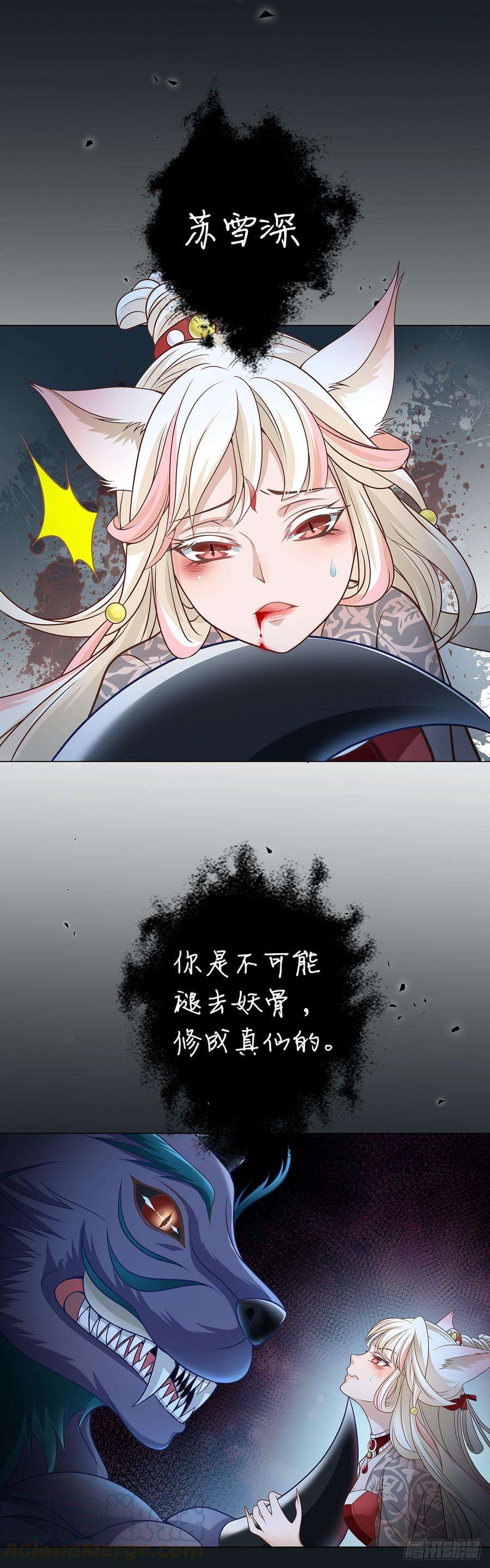 16.jpg
