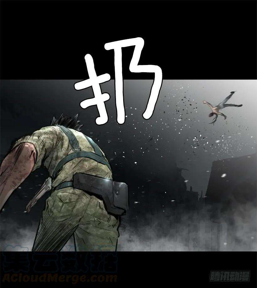 46.jpg