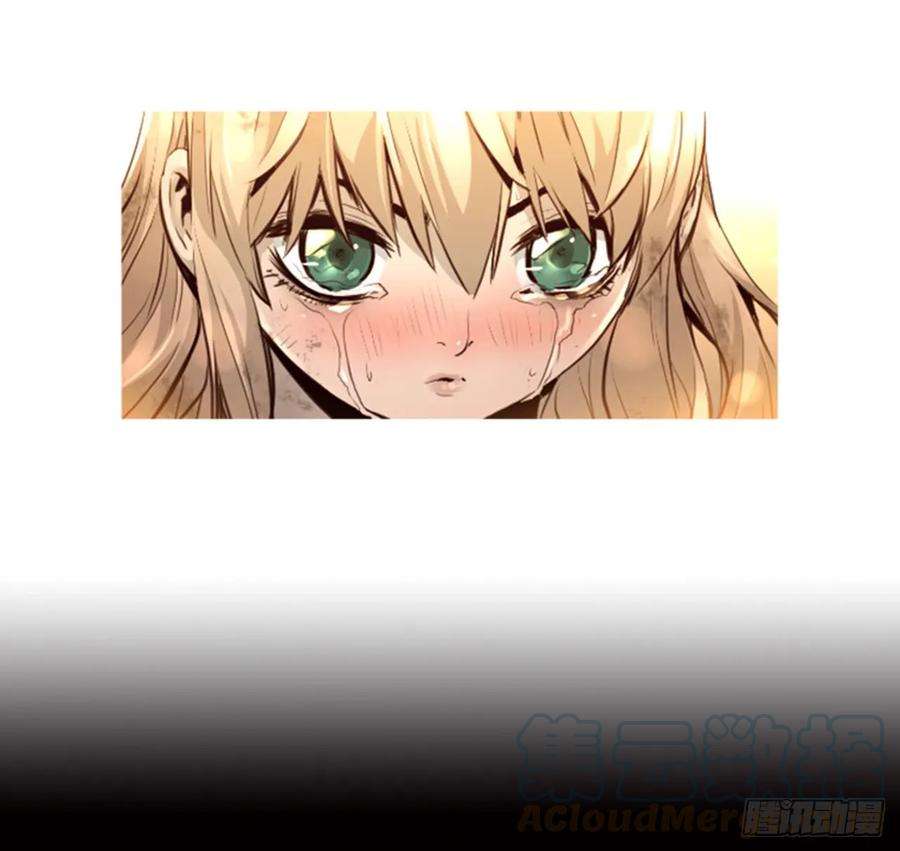 41.jpg