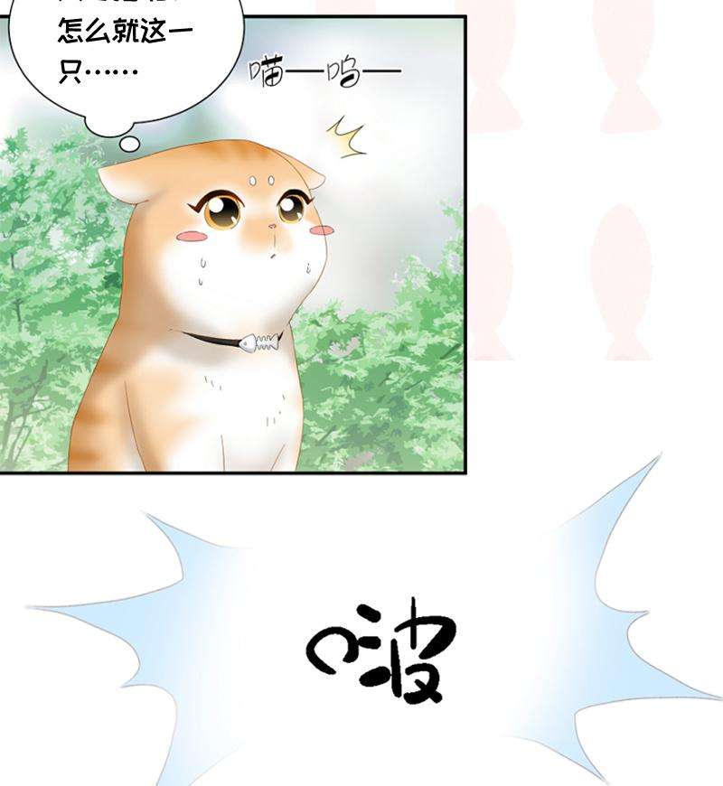 54.jpg