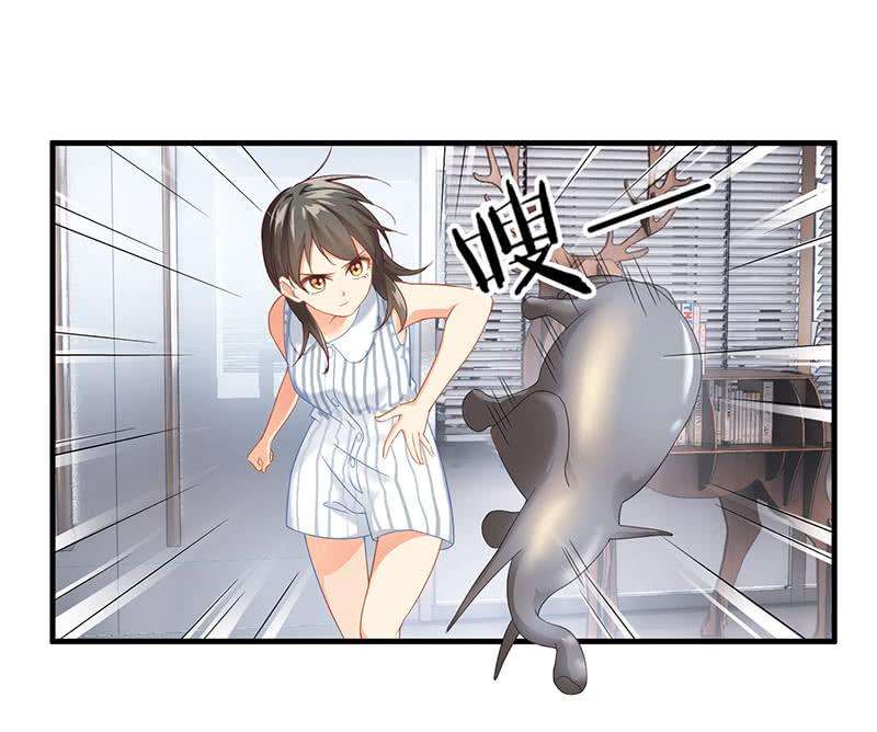 80.jpg