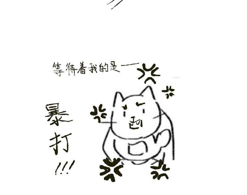60.jpg