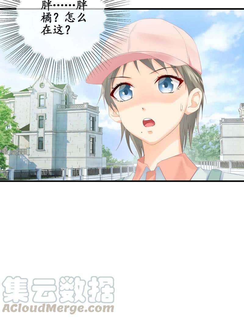51.jpg