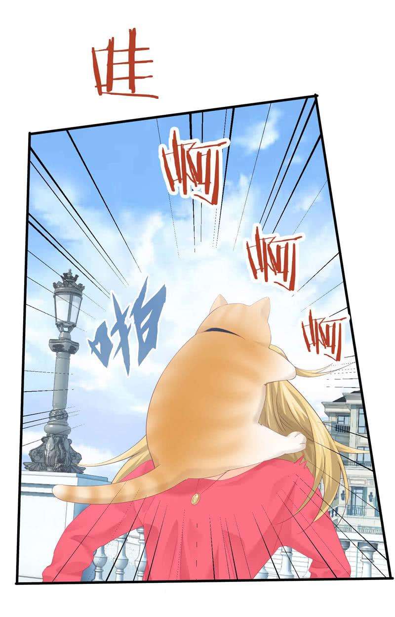 47.jpg