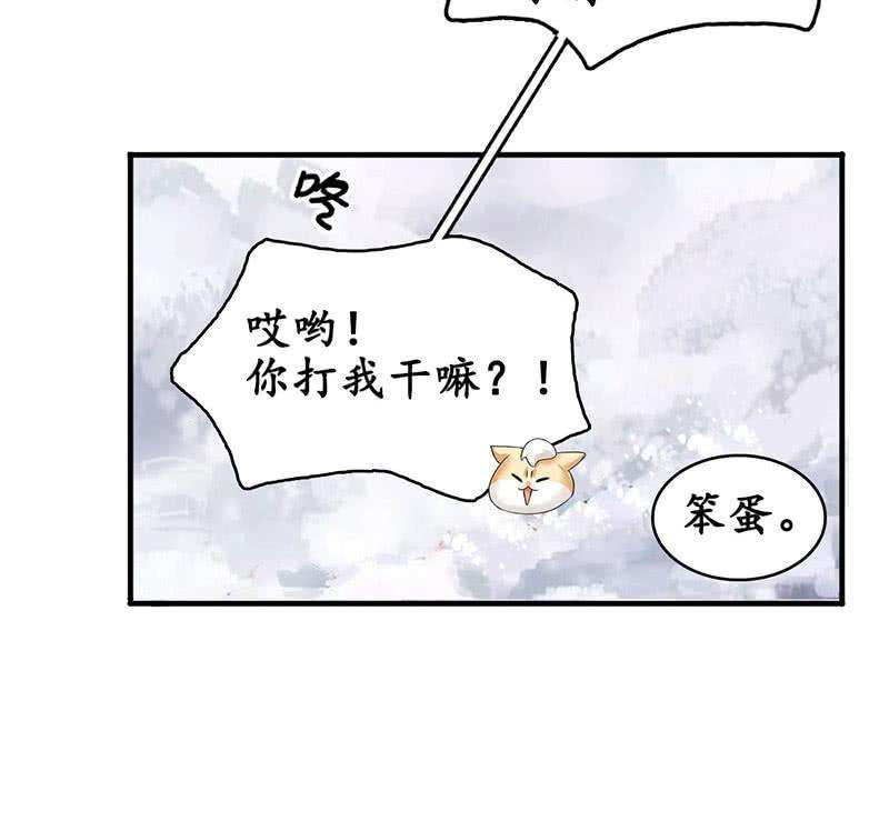 49.jpg