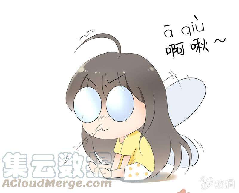25.jpg
