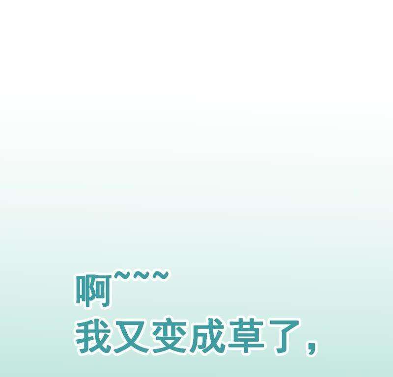 94.jpg