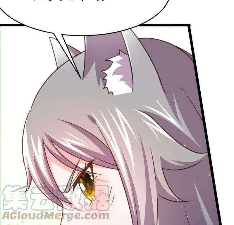51.jpg