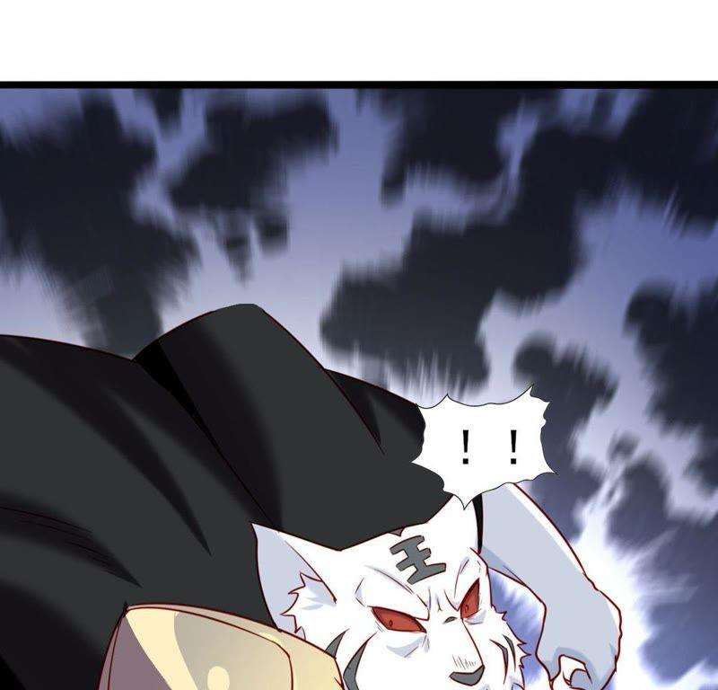 74.jpg
