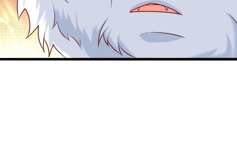 78.jpg