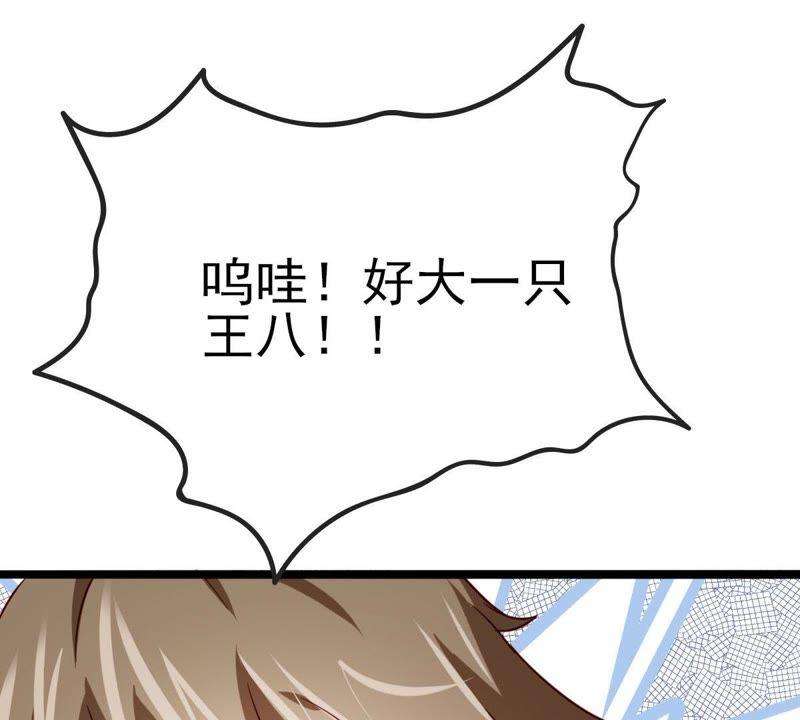 48.jpg
