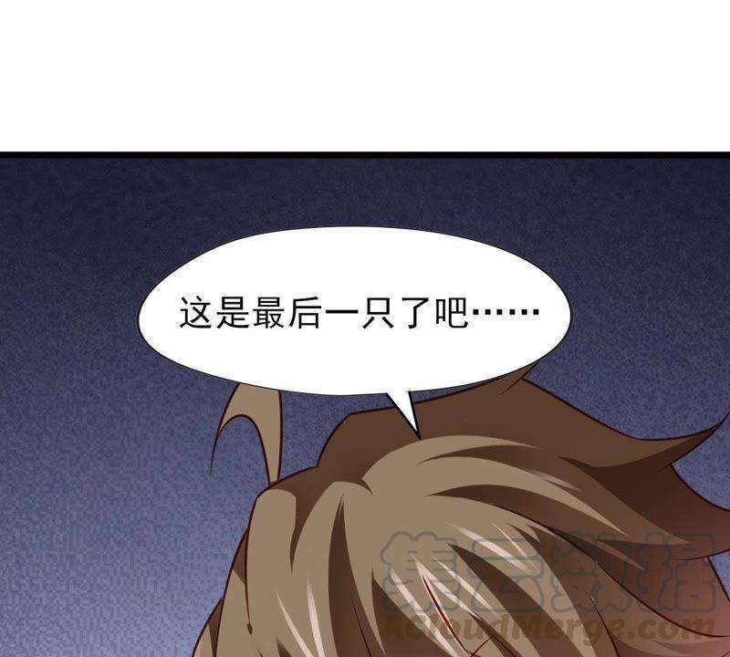 43.jpg