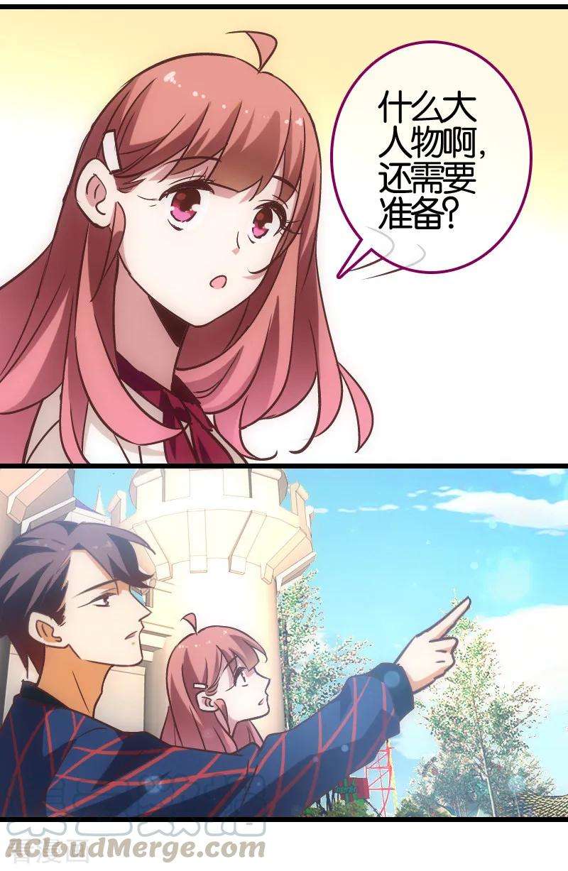 17.jpg