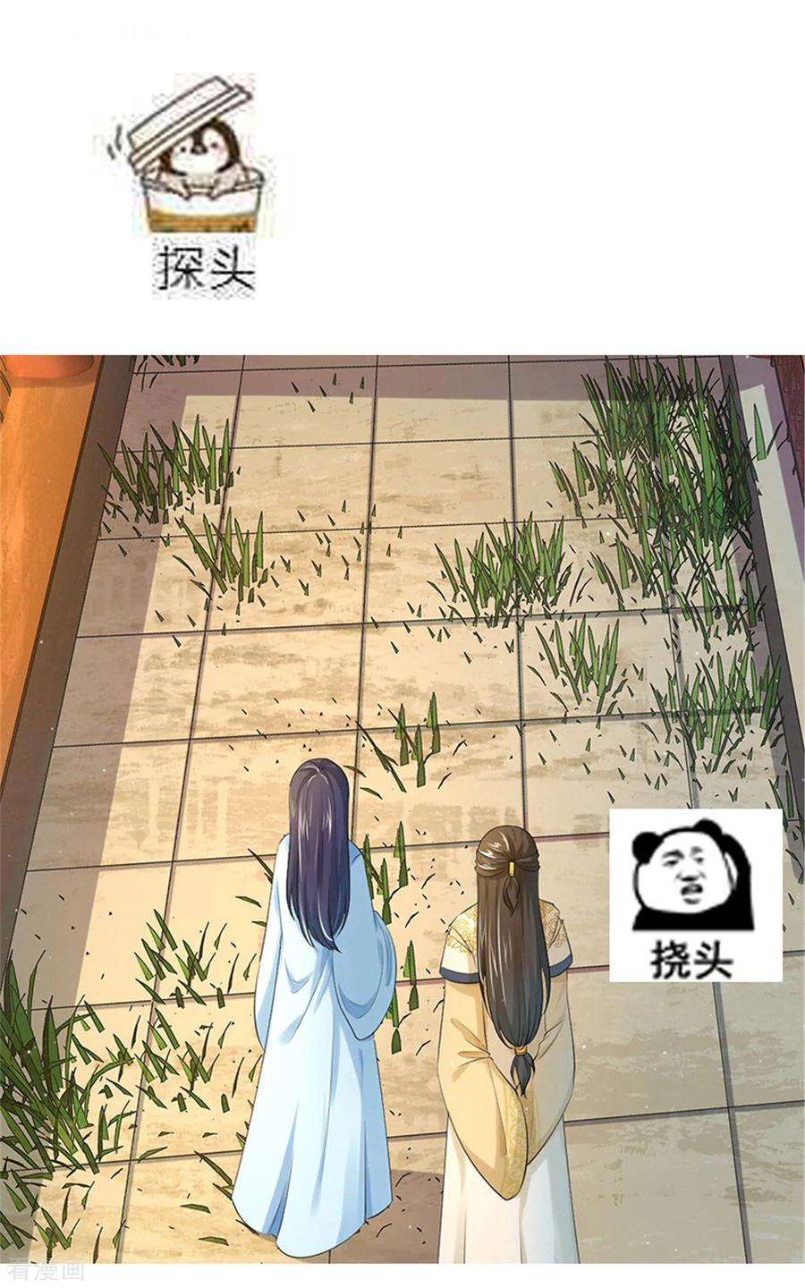 28.jpg